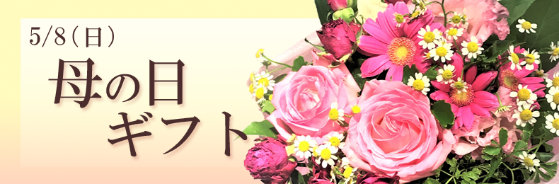 Jt6jzaodmymeem Jt6jzaodmymeem